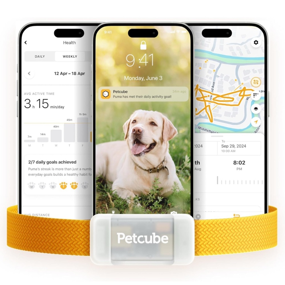 Petcube GPS Tracker for Dogs